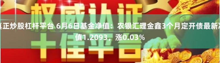 真正炒股杠杆平台 6月6日基金净值：农银汇理金鑫3个月定开债最新净值1.2093，涨0.03%