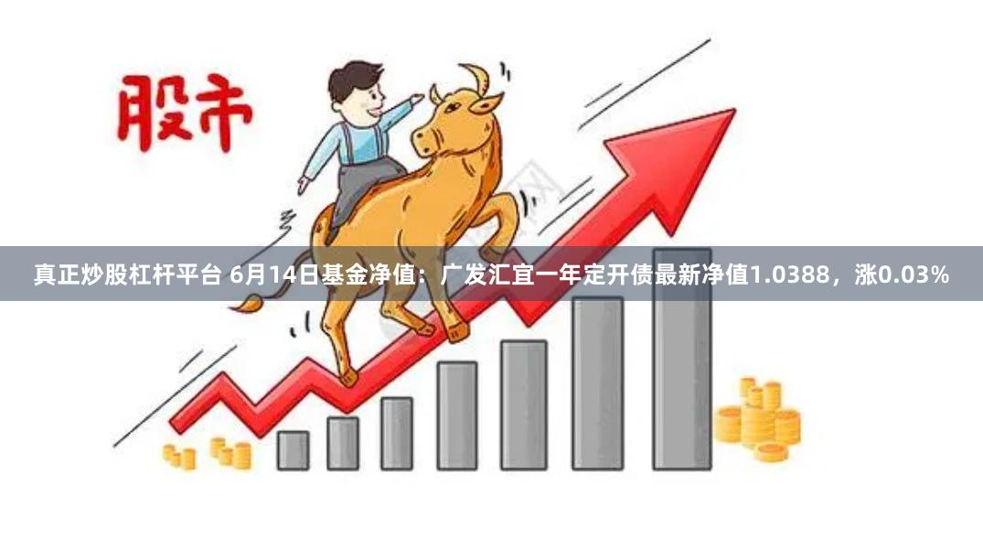 真正炒股杠杆平台 6月14日基金净值：广发汇宜一年定开债最新净值1.0388，涨0.03%