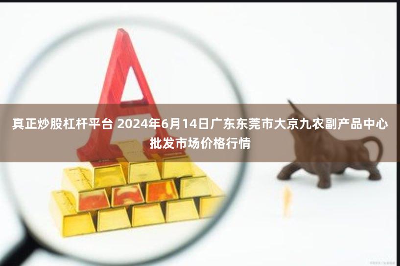 真正炒股杠杆平台 2024年6月14日广东东莞市大京九农副产品中心批发市场价格行情