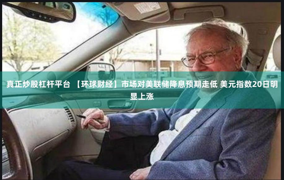 真正炒股杠杆平台 【环球财经】市场对美联储降息预期走低 美元指数20日明显上涨