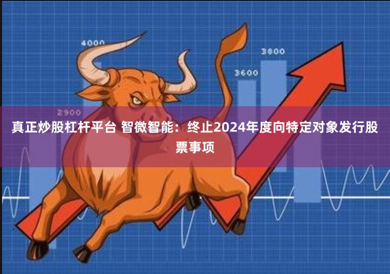 真正炒股杠杆平台 智微智能：终止2024年度向特定对象发行股票事项