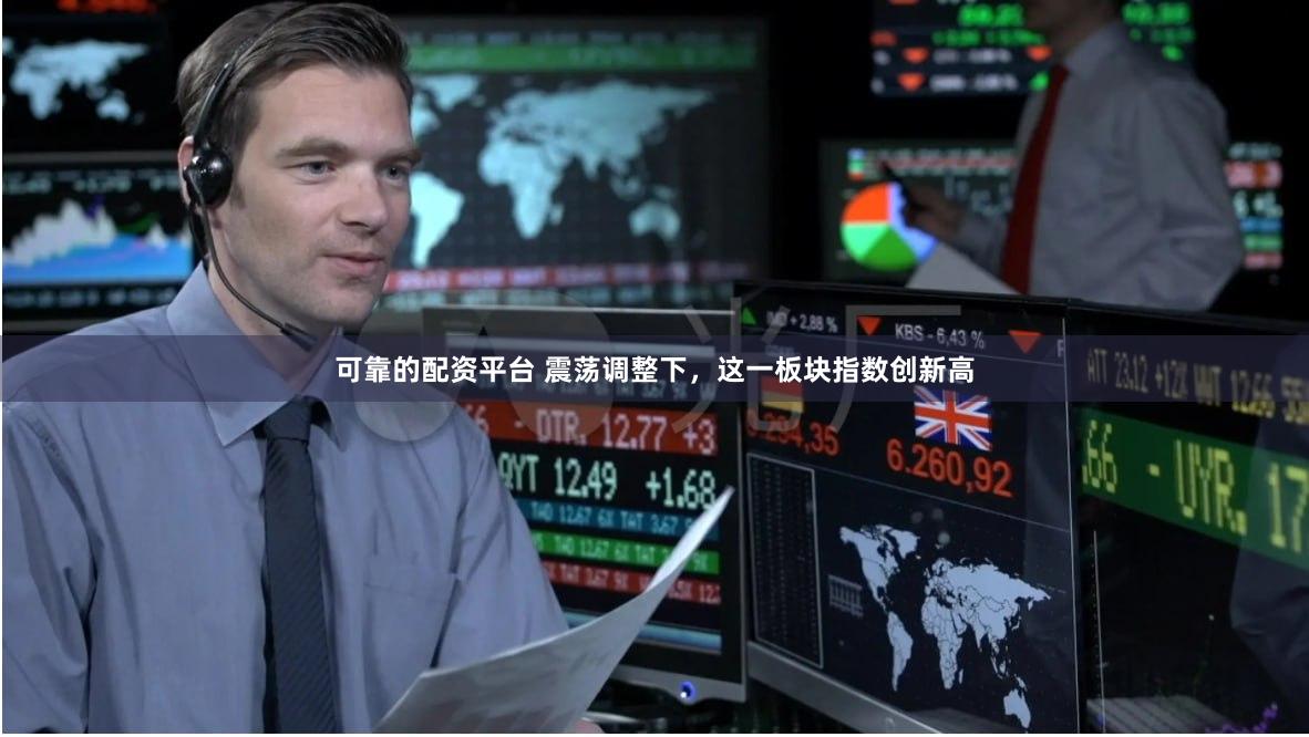 可靠的配资平台 震荡调整下，这一板块指数创新高
