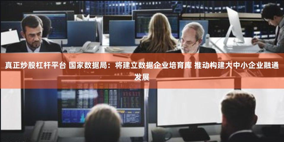 真正炒股杠杆平台 国家数据局：将建立数据企业培育库 推动构建大中小企业融通发展