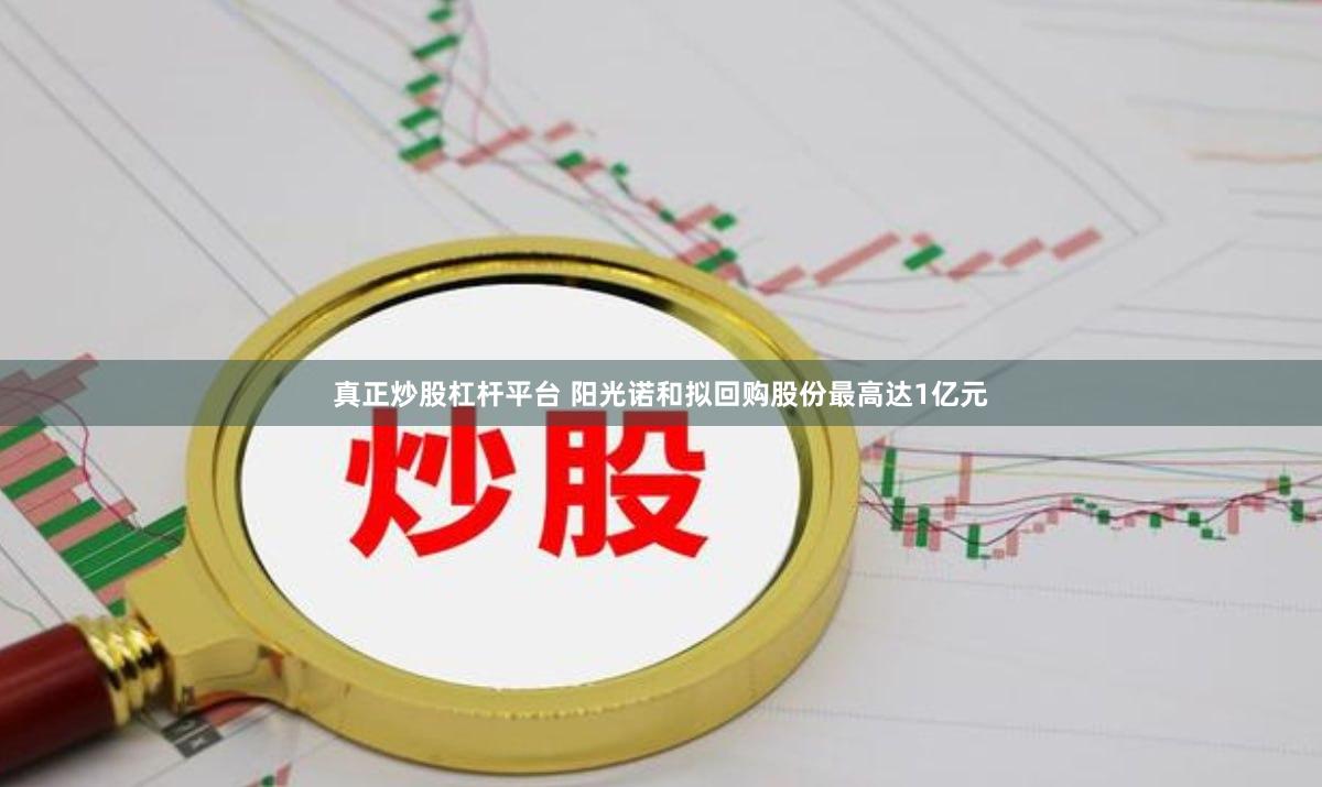 真正炒股杠杆平台 阳光诺和拟回购股份最高达1亿元
