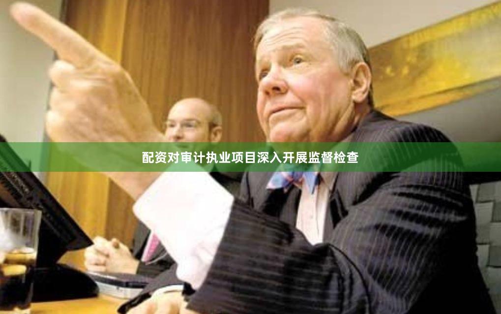 配资对审计执业项目深入开展监督检查